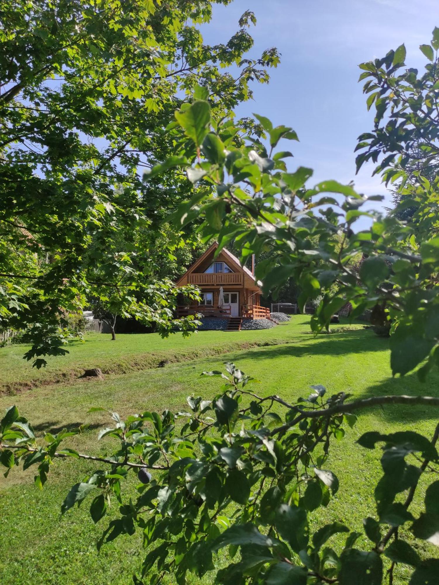 Ferienhaus Birkholz Harz Ilsenburg Eksteriør bilde